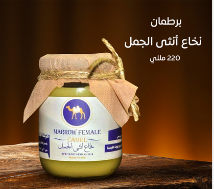 نخاع انثى الجمل لامور