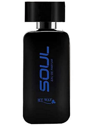 سول برفان ماى واى