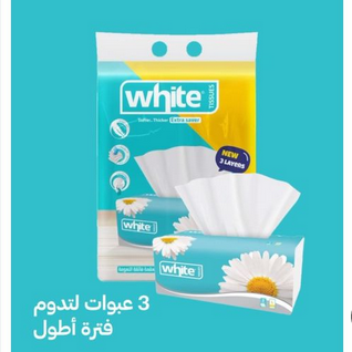 وايت مناديل 500 منديل