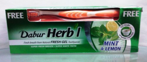 معجون اسنان هيربل 140جم+فرشه